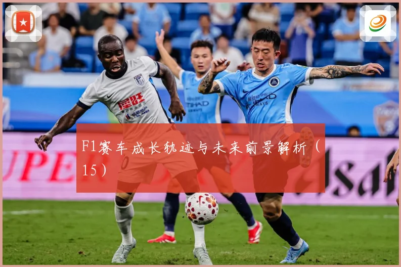 F1赛车成长轨迹与未来前景解析（15）