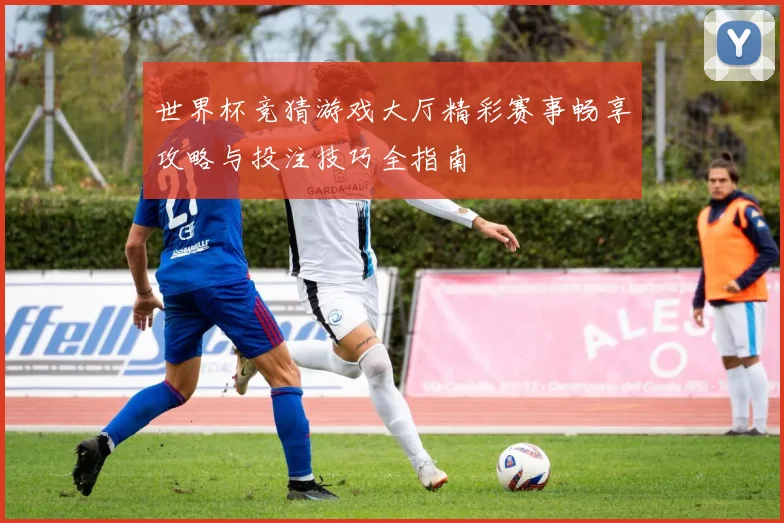 世界杯竞猜游戏大厅精彩赛事畅享攻略与投注技巧全指南