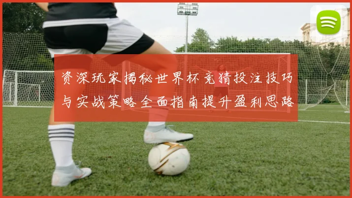 资深玩家揭秘世界杯竞猜投注技巧与实战策略全面指南提升盈利思路