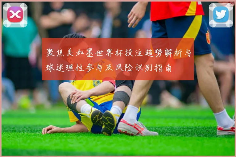 聚焦美加墨世界杯投注趋势解析与球迷理性参与及风险识别指南