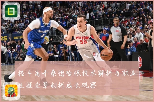 格斗高手桑德哈根技术解析与职业生涯全景剖析成长观察
