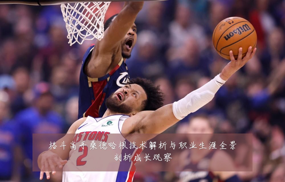 格斗高手桑德哈根技术解析与职业生涯全景剖析成长观察