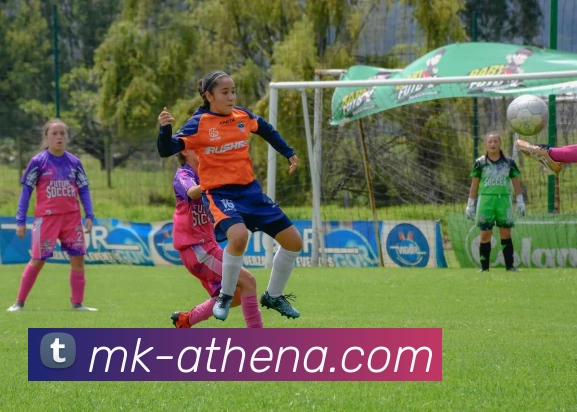 MK体育世界杯精彩回顾与赛事全解析带你领略足球盛宴魅力